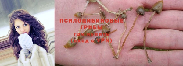 ECSTASY Нязепетровск