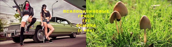 каннабис Няндома