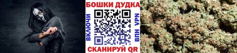купить наркотики сайты  Щёлкино  Конопля White Widow 
